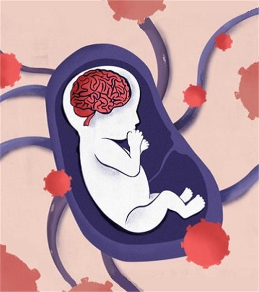 آیا ابتلا به کووید در بارداری بر رشد کودک شما تأثیر می گذارد؟