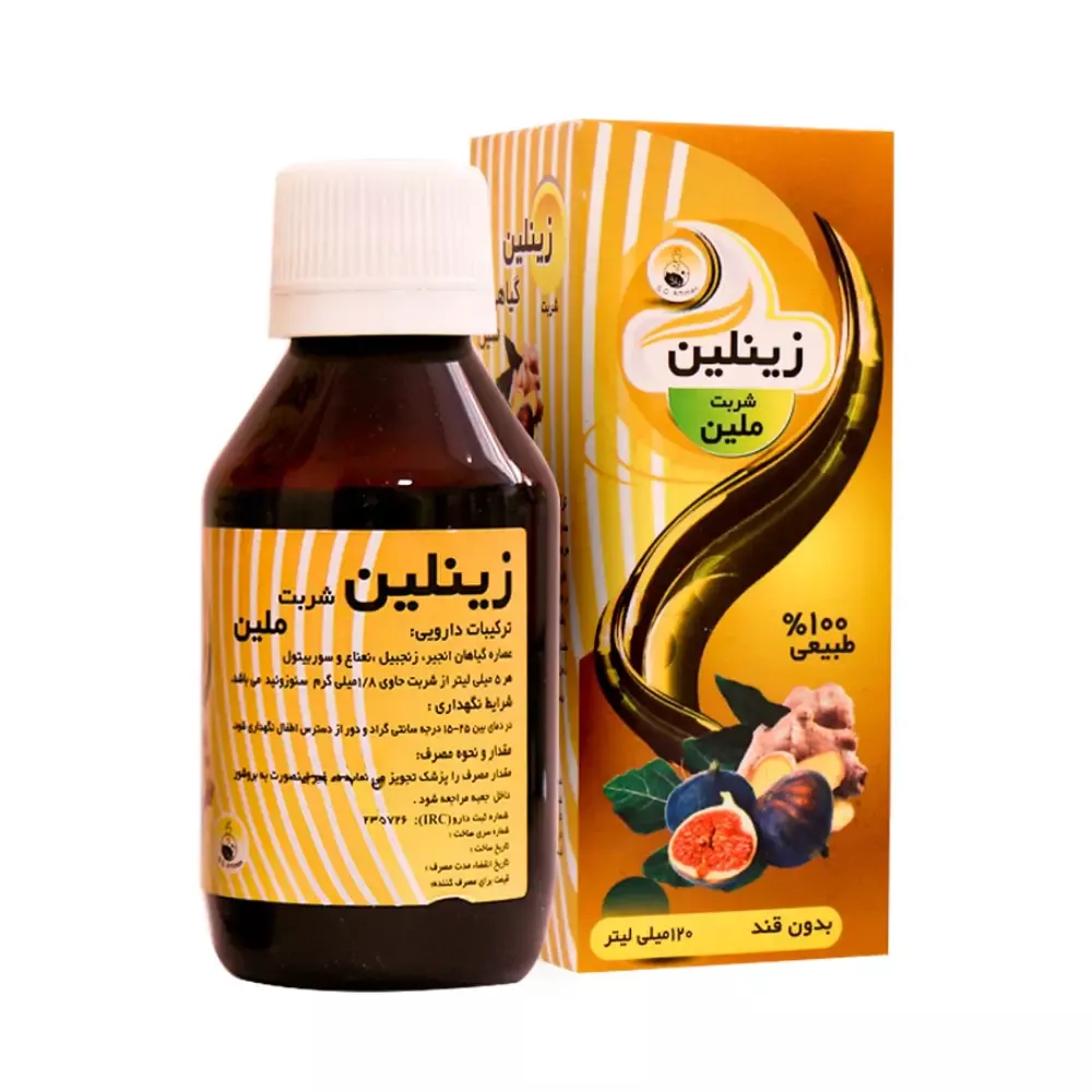 شربت زینلین سلامت گستر آرتیمان 120 میلی لیتر
