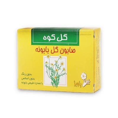 گل ستیو