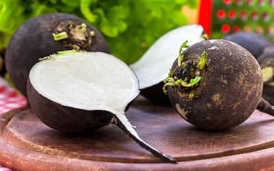 خواص شگفت انگیز ترب سیاه