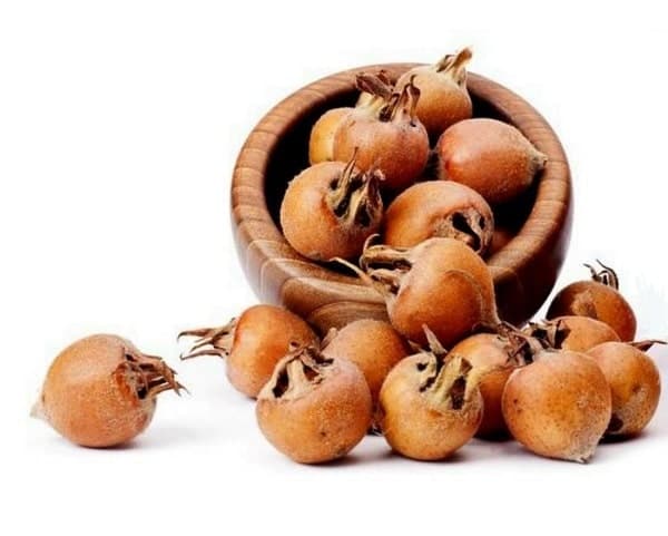 مقاله جبران کم خونی با مصرف ازگیل
